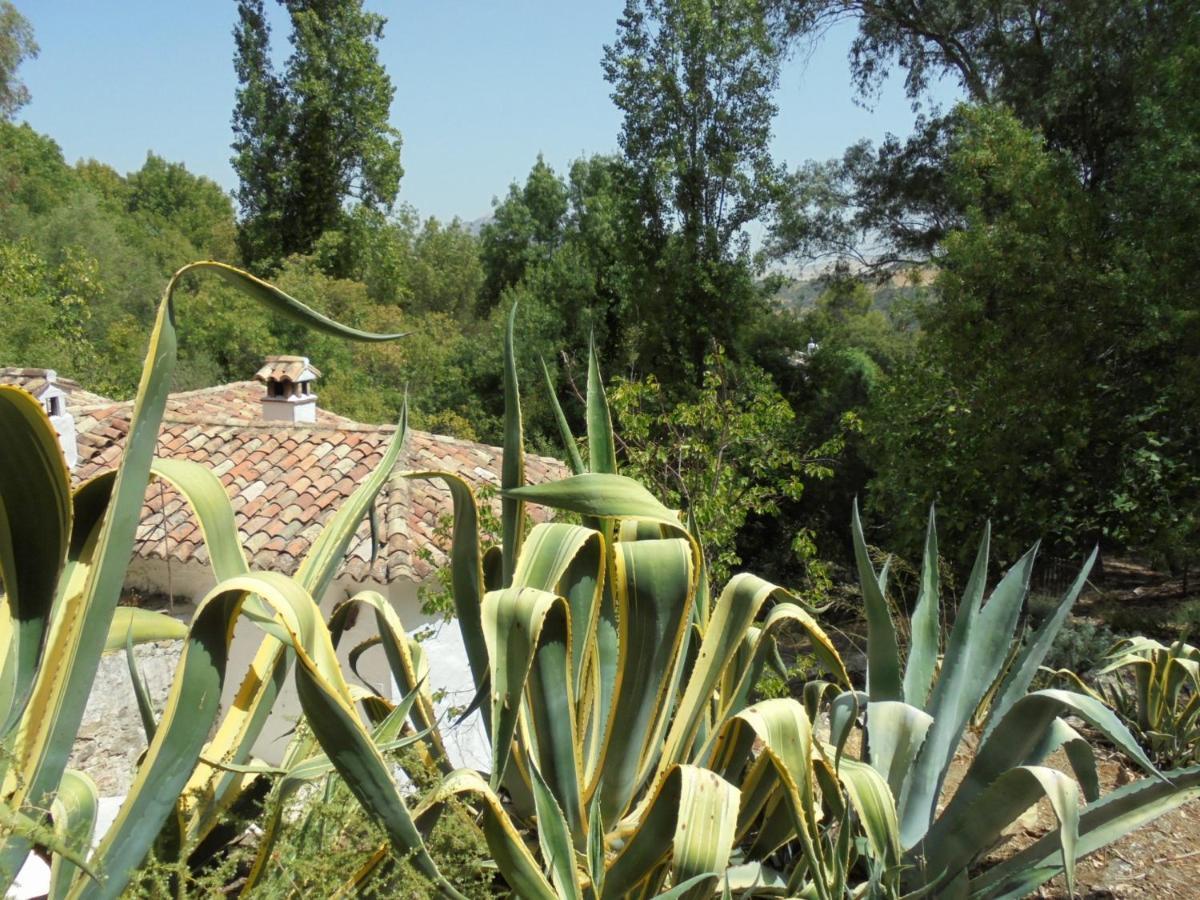 El Pastor Villa Grazalema Exterior photo